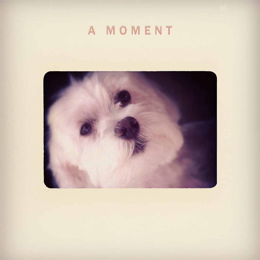 A Moment border sample